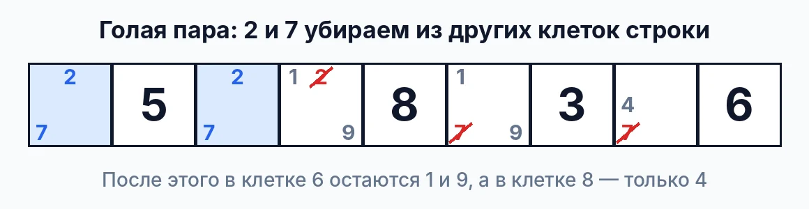 Голая пара в судоку